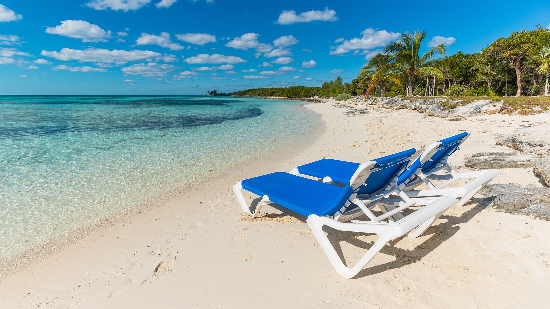 Nassau, Bahamas Discover Salt Cay & Nassau With Lunch And Beach